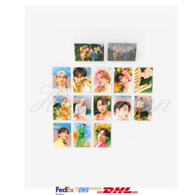 [SEVENTEEN] POST CARD PUZZLE (SECTOR 17) OFFICIAL MD (Member type)