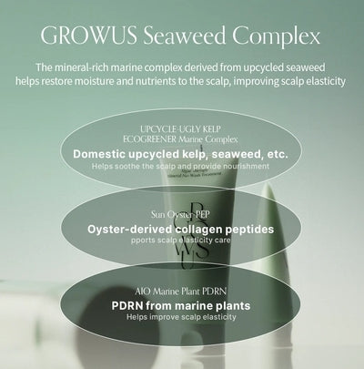 [GROWUS] Algae Therapy No-Wash Treatment 150ml