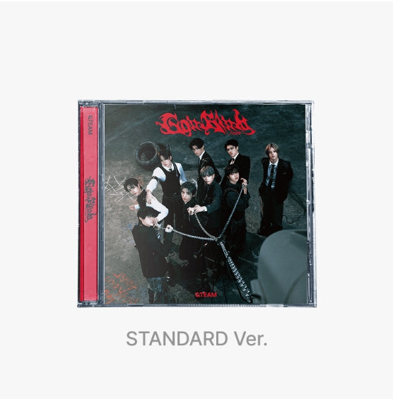 [&TEAM] 3rd single 'go in blind' standard editon