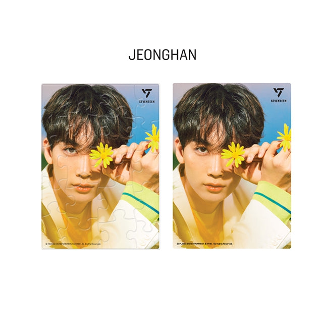 [SEVENTEEN] POST CARD PUZZLE (SECTOR 17) OFFICIAL MD (Member type)