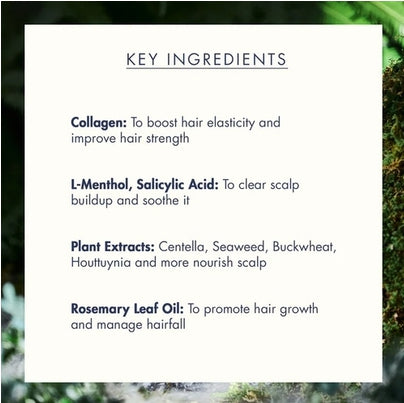 [Treecell] Night Collagen Shampoo Midnight Forest 360ml