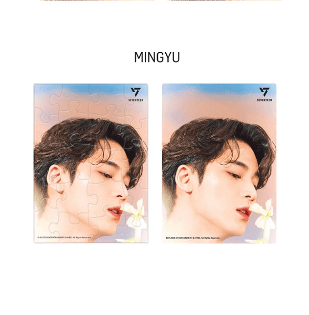 [SEVENTEEN] POST CARD PUZZLE (SECTOR 17) OFFICIAL MD (Member type)