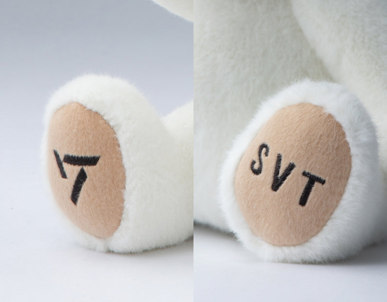[SEVENTEEN] Bongbongie x TeddyTales] Limited Edition Bongbong Bear