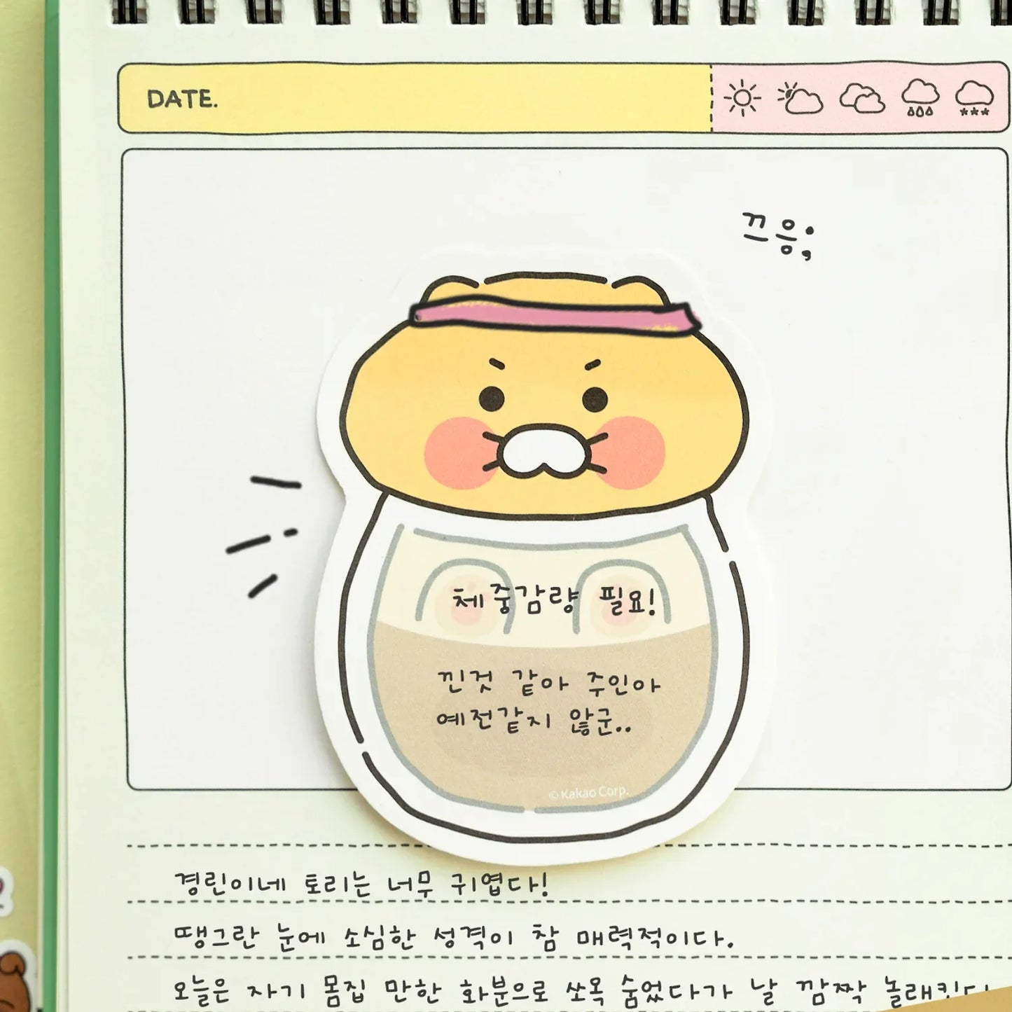 [KAKAO FRIENDS] choonsik ordinary shaped sticky notes