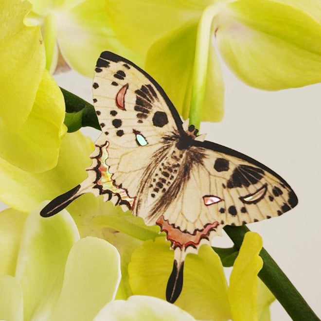 [KOREAN MUSEUM LIFE] mother-of-pearl butterfly magnet