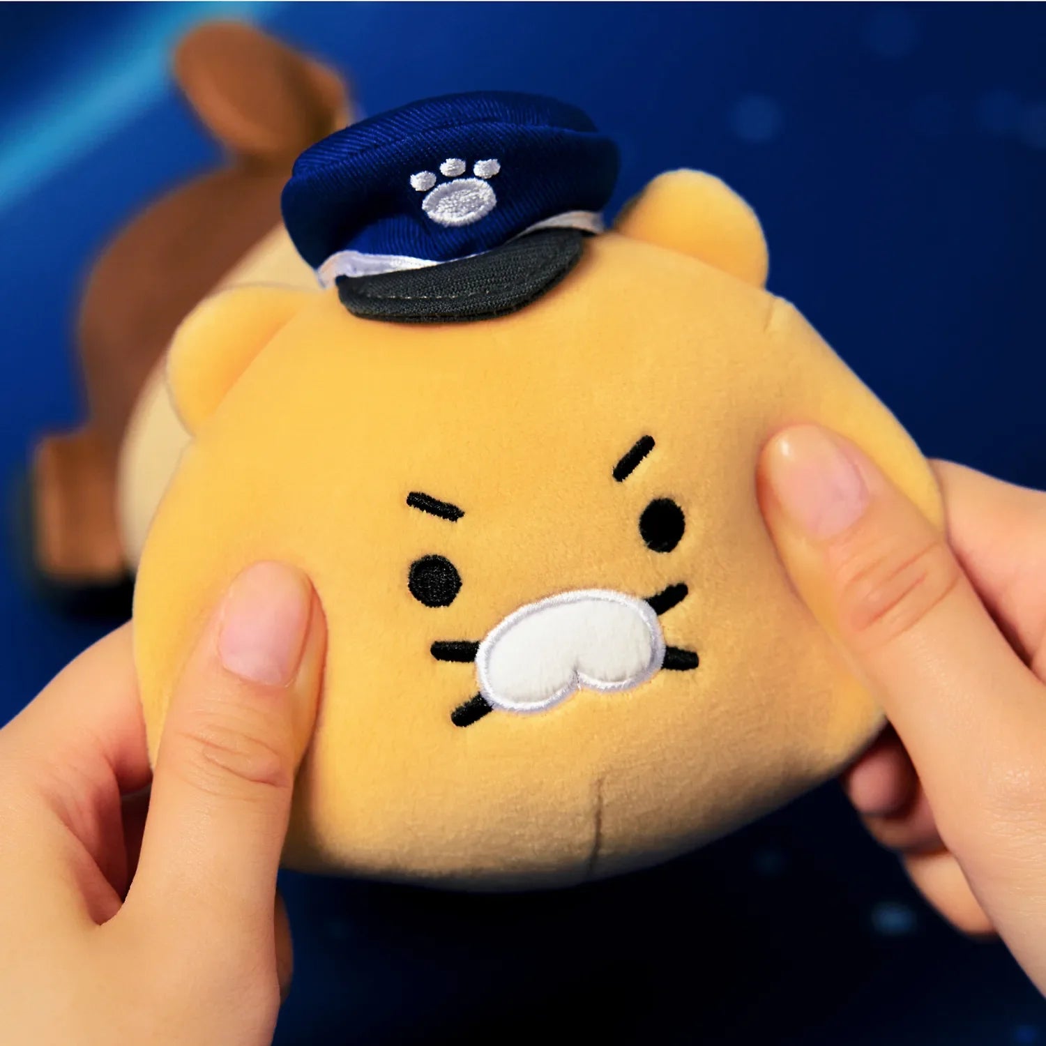 [KAKAO FRIENDS] choonsik verse fabric pencil case