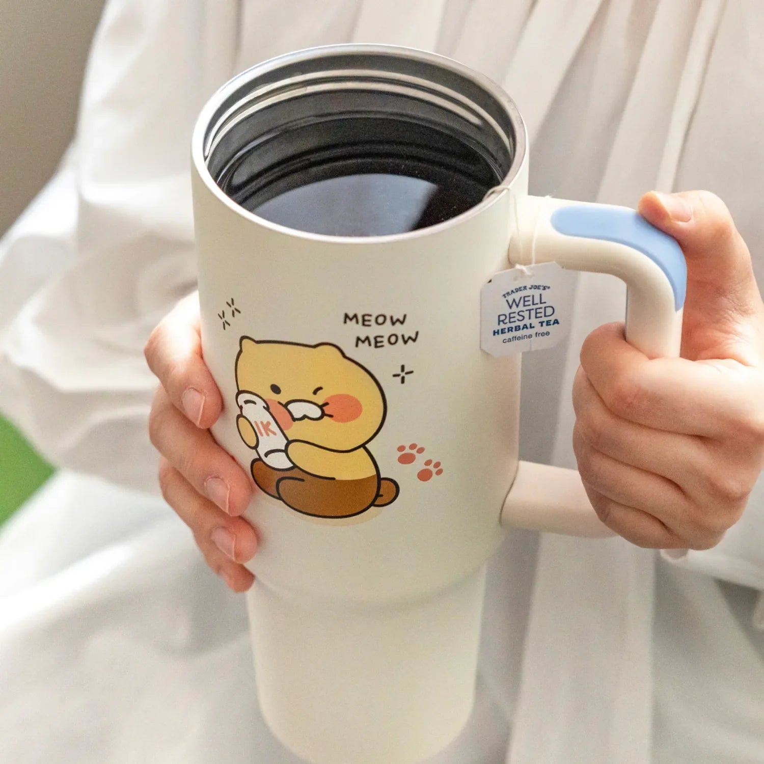 [KAKAO FRIENDS] choonsik tumbler