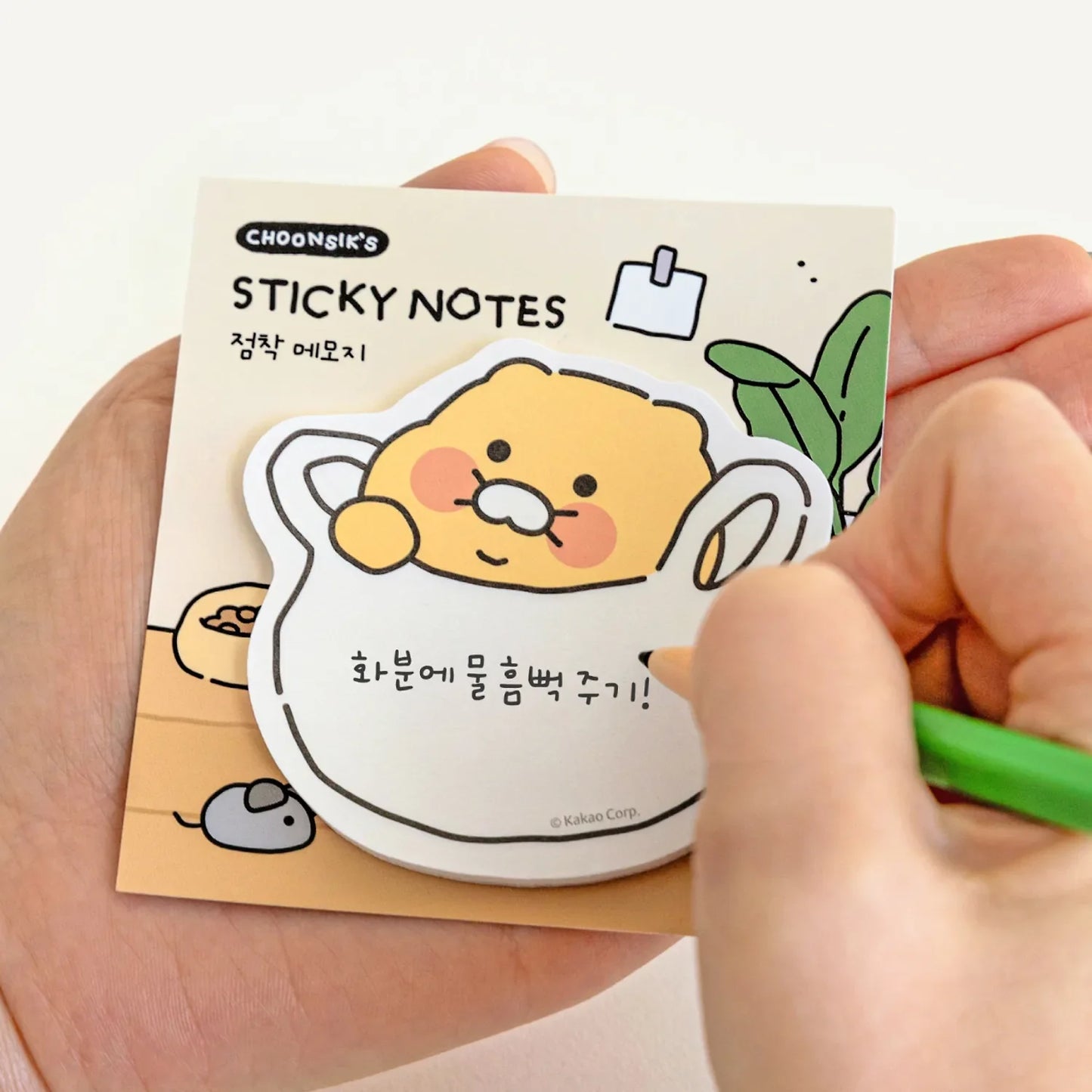 [KAKAO FRIENDS] choonsik ordinary shaped sticky notes