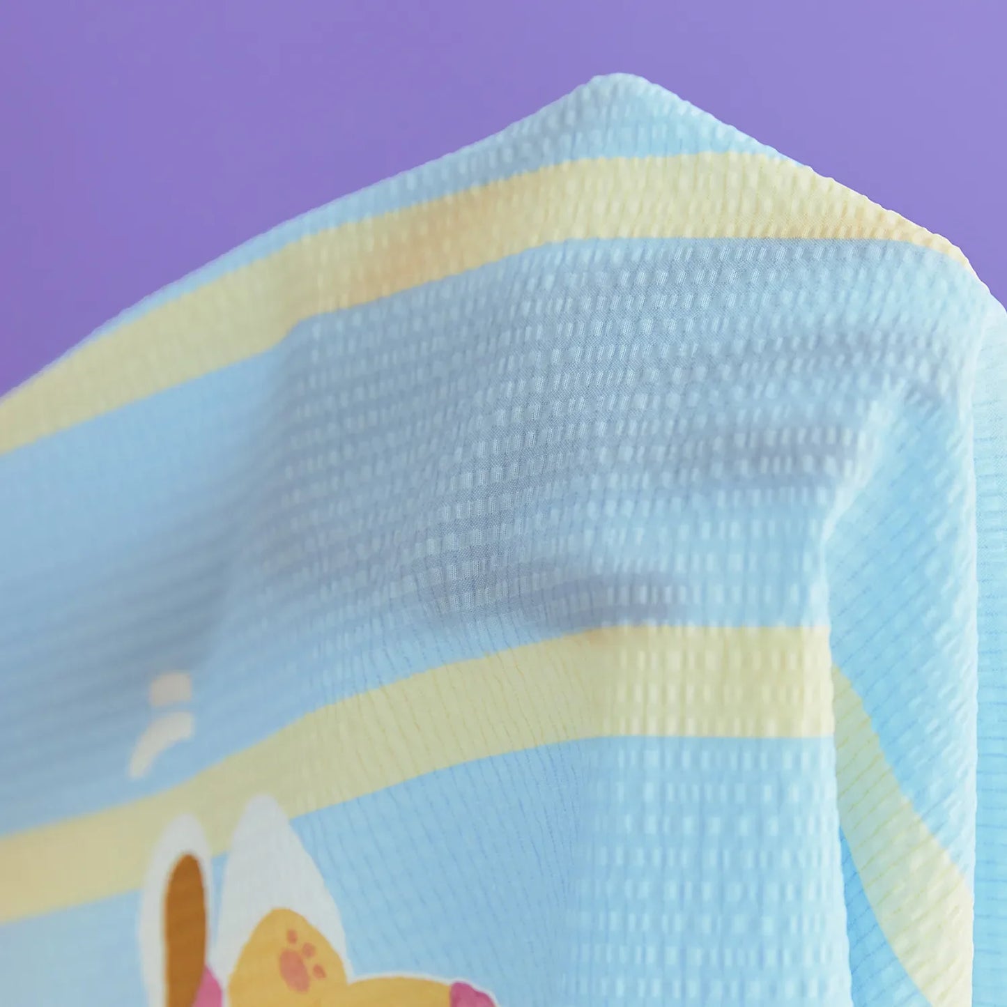 Wiggle Wiggle x Kakao Friends Cooling Blanket & Pillow Cover Set Chunsik Edition