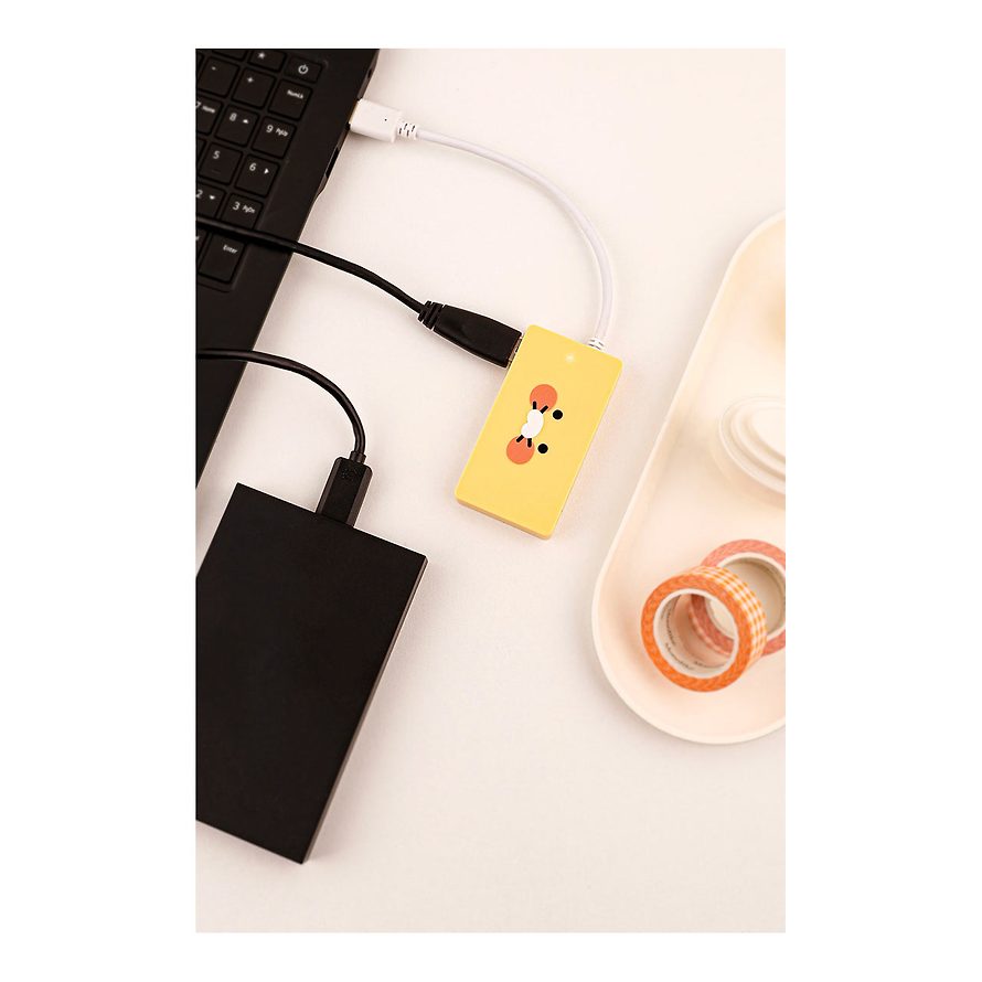 [KAKAO FRIENDS] USB Mega Hub Choonsik OFFICIAL MD