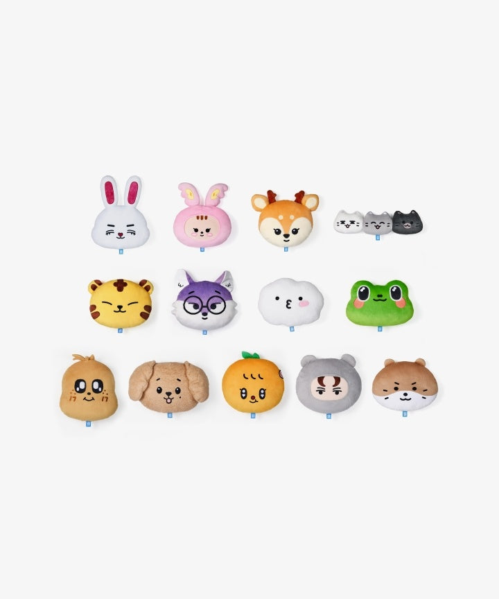 [SEVENTEEN] miniteen official md pre-order (member type)