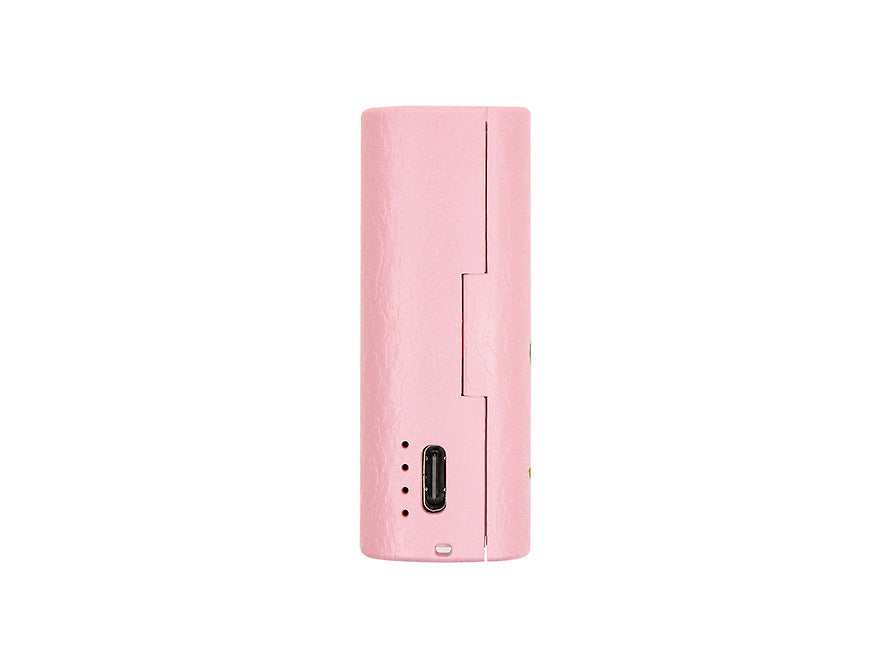 [KAKAO FRIENDS] choonsik book wireless earbuds