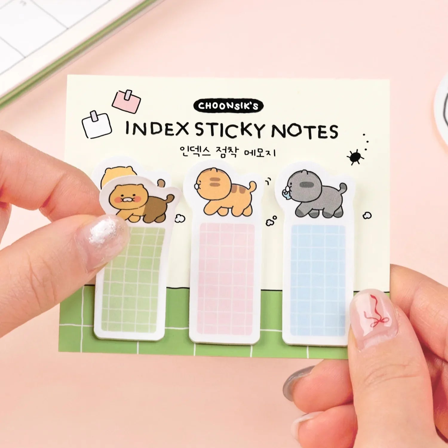 [KAKAO FRIENDS] choonsik ordinary index sticky notes