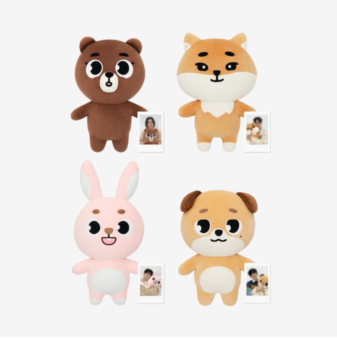 [DAY6] 2024 special concert 'the present' official md (member type)