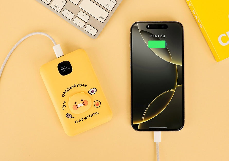 [Kakao Friends] Fast Charging Power Bank 10,000mAh
