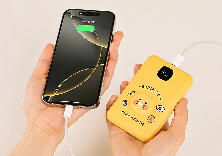 [Kakao Friends] Fast Charging Power Bank 10,000mAh