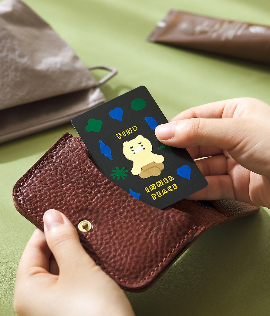 [KAKAO FRIENDS] Card Cover Sticker Set Ryan & Chunsik