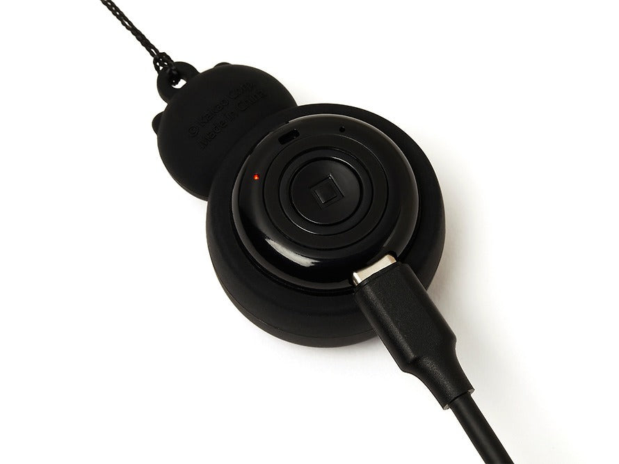 [KAKAO FRIENDS] Chunshik Mini Speaker Black