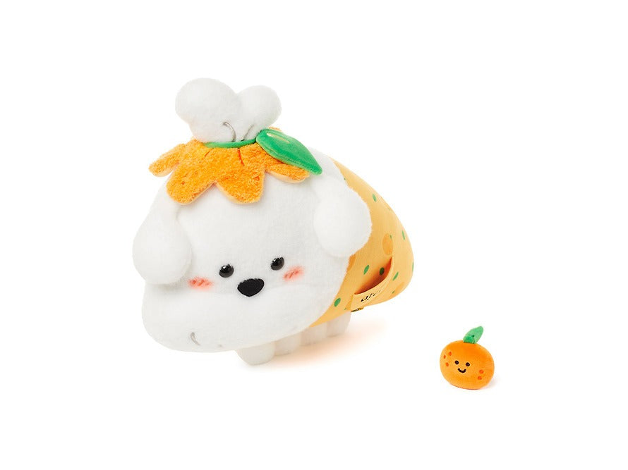 [KAKAO FRIENDS]Jeju Jjoordi Medium Plush  MaltiJjyo