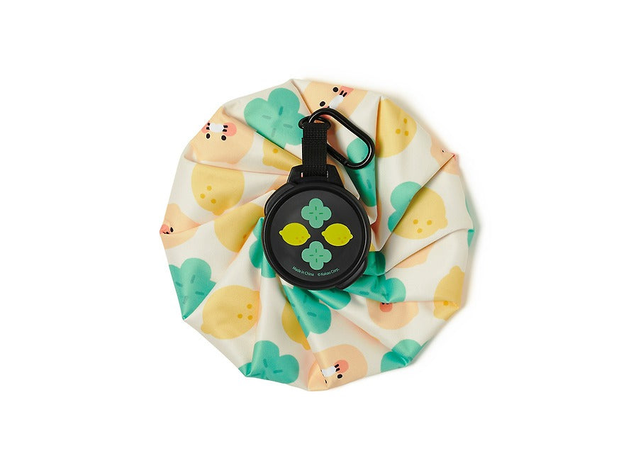[KAKAO FRIENDS]Lucky Day Ice Bag (Chunsik)