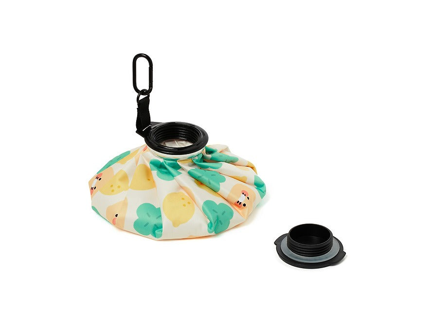 [KAKAO FRIENDS]Lucky Day Ice Bag (Chunsik)