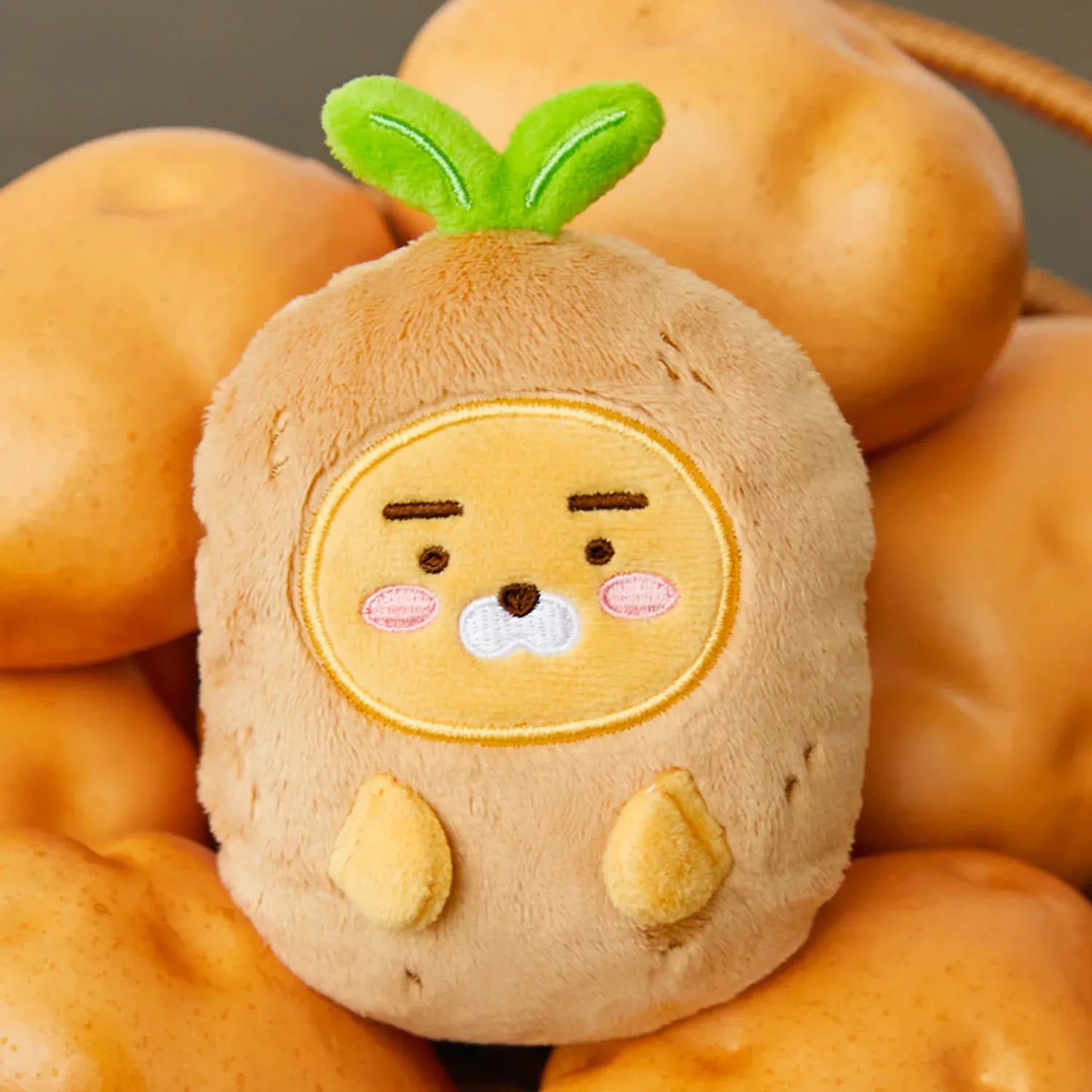[KAKAO FRIENDS] Countryside Series Hot Pack Plush