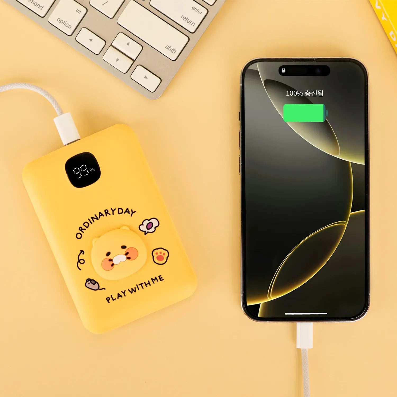 [Kakao Friends] Fast Charging Power Bank 10,000mAh