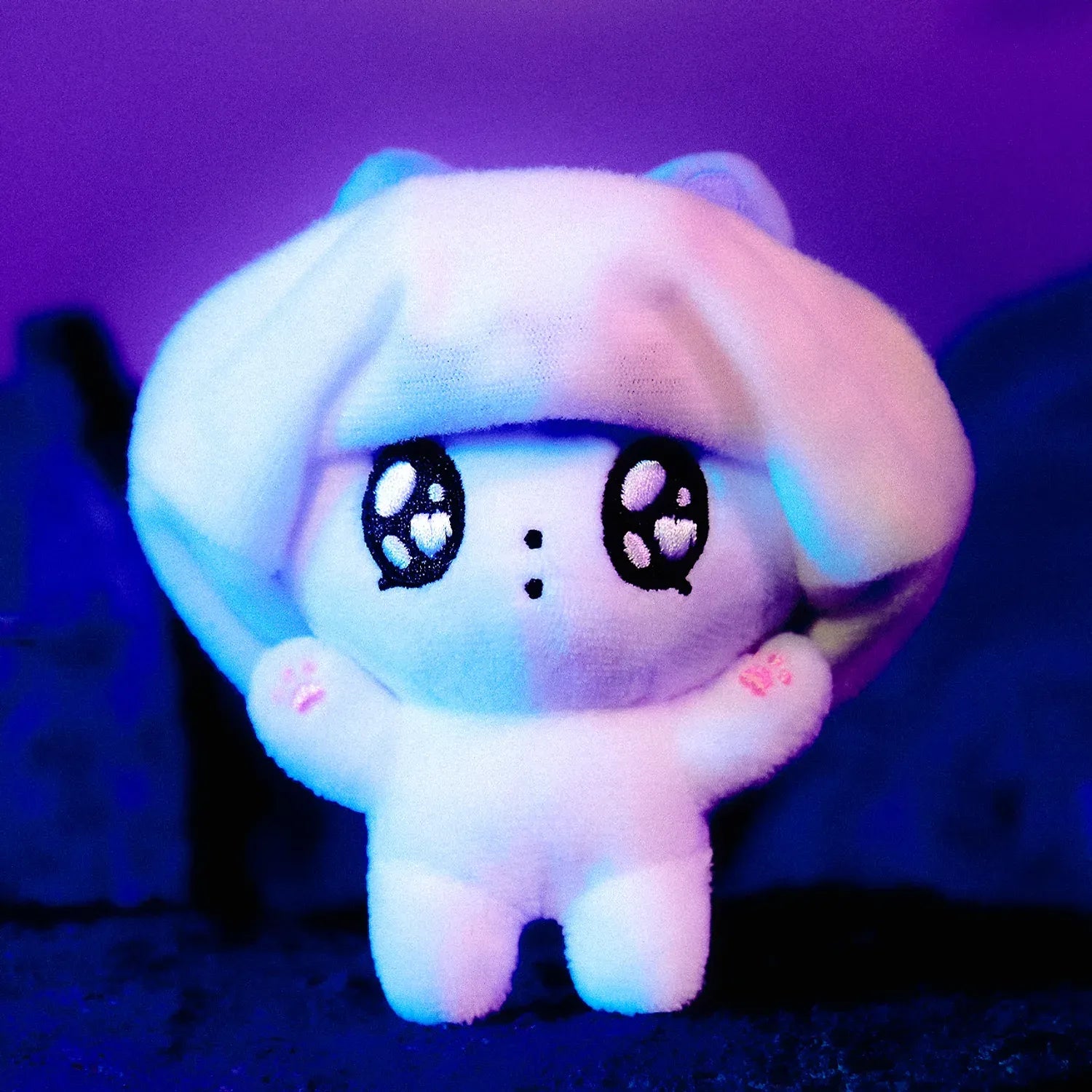 [KAKAO FRIENDS] Nyang Nyang Special Keyring Gimgom & Parkbam