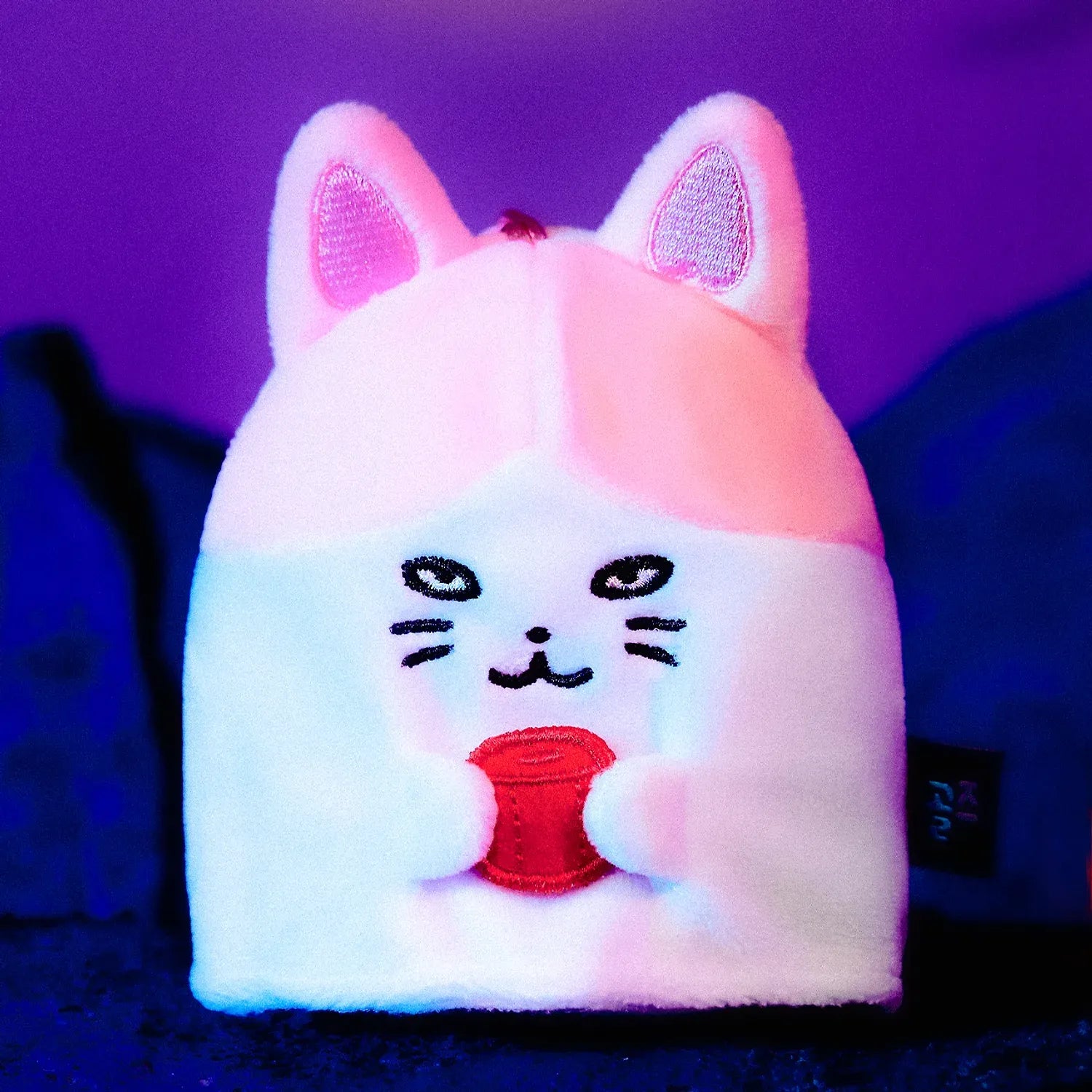 [KAKAO FRIENDS] Nyang Nyang Special Keyring Gimgom & Parkbam