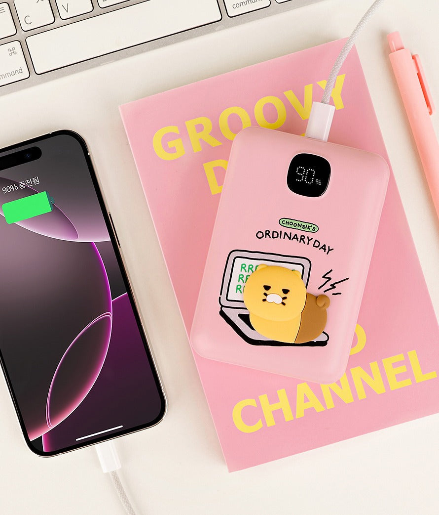 [Kakao Friends] Fast Charging Power Bank 20,000mAh