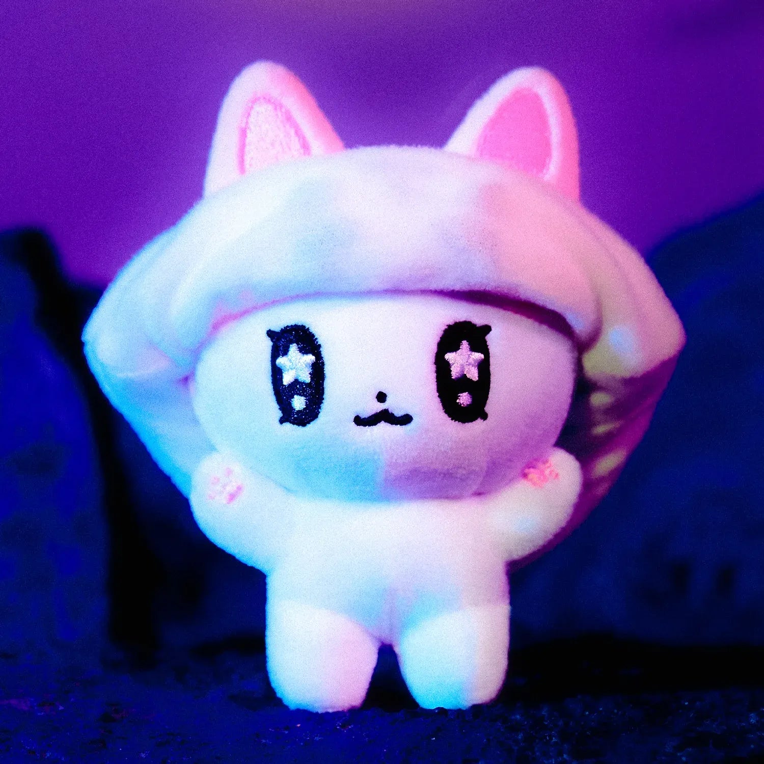[KAKAO FRIENDS] Nyang Nyang Special Keyring Gimgom & Parkbam