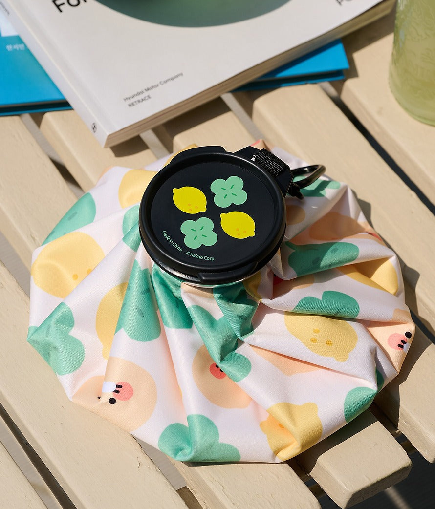 [KAKAO FRIENDS]Lucky Day Ice Bag (Chunsik)