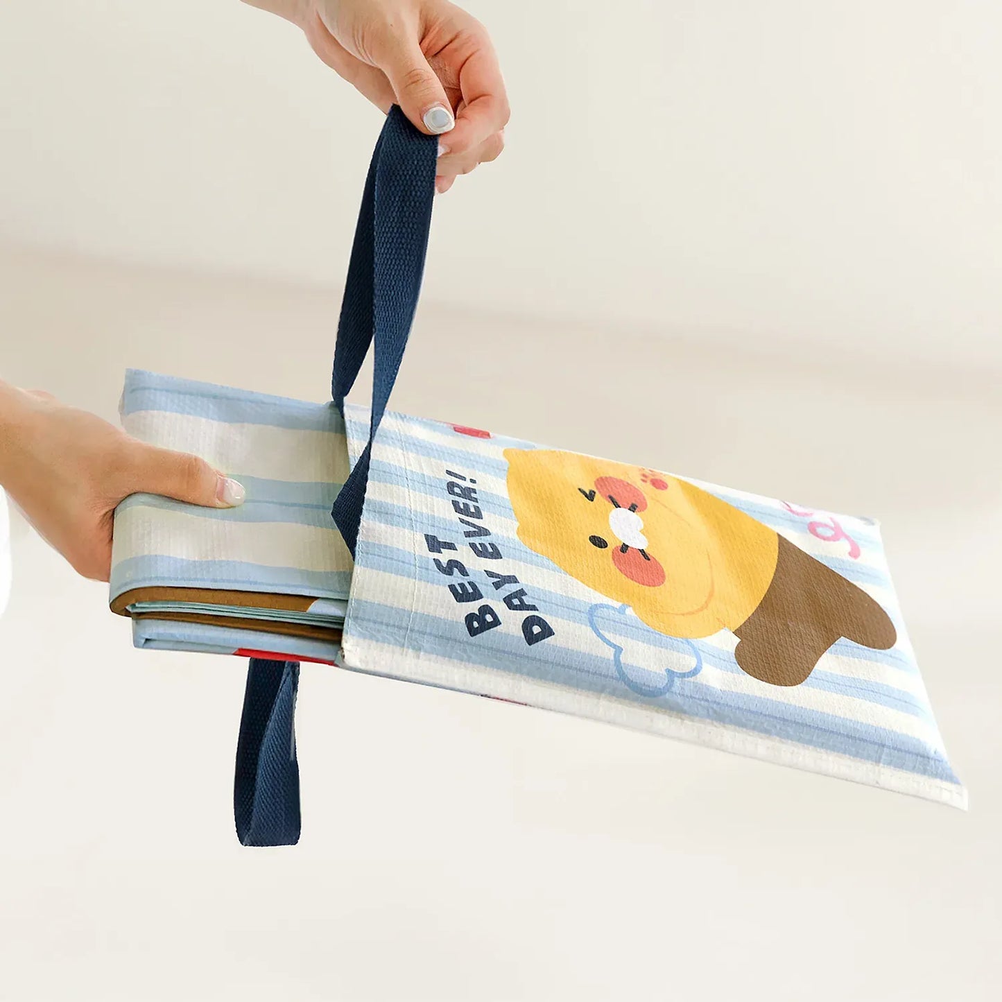 [KAKAO FRIENDS]Chunsik Foldable Picnic Mat with Pouch