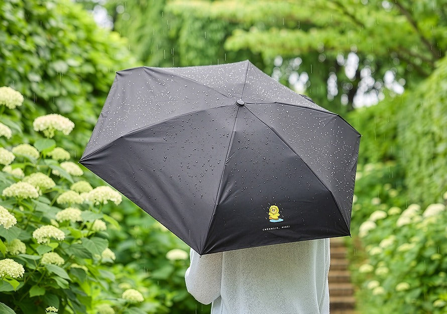[KAKAO FRIENDS] Chunshik Flower Umbrella Black