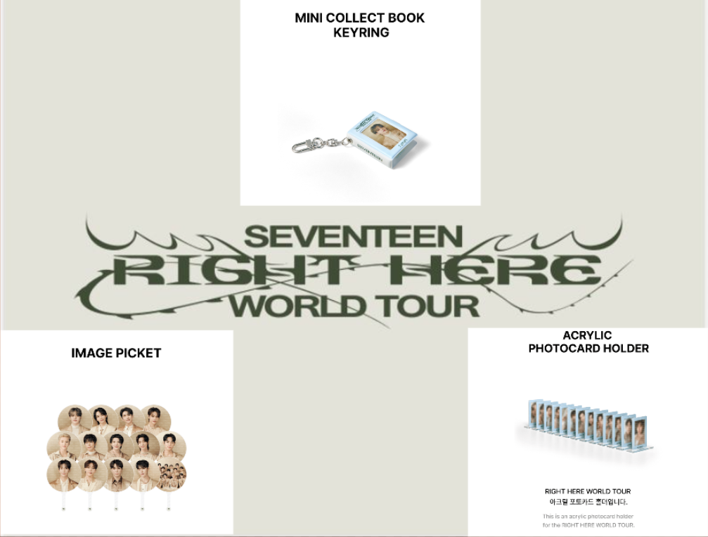[SEVENTEEN] Right Here World Tour Concert MD (Member type)